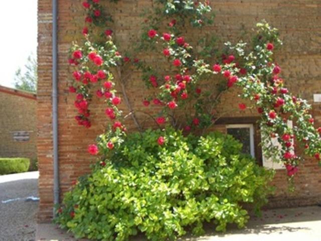 Le Platane Bed & Breakfast Lafrancaise Exterior photo