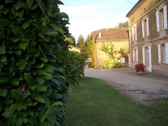 Le Platane Bed & Breakfast Lafrancaise Exterior photo